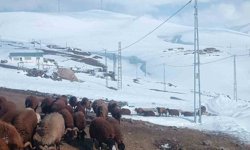 Ağrı'da Nisan ayında kar yağışı yolları kapattı