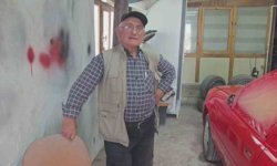 Ahırdan kaçan danalar oto tamirciyi bastı, görgü tanığı o anları anlattı: 'Nazikçe geldiler, nazikçe gittiler'