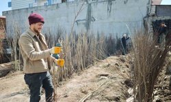 Ahlat'ta meyve fidanlarına ilgi