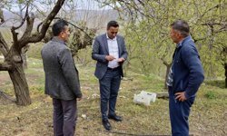 Akçadağ Belediye Başkanı Ulutaş, doludan etkilenen üreticileri ziyaret etti