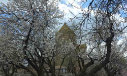 Akdamar Adası'nda 23 Nisan yoğunluğu