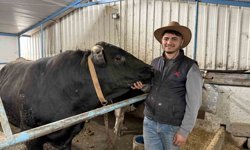 Aksiliklerinden kantara çıkamıyorlar: 4 yaşındaki dev tosunları gören bir daha bakıyor