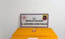 Alanya'da 75 bin kullanımlık uyuşturucu madde ele geçirildi: 2 gözaltı