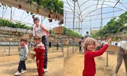 ALKÜ'lü minikler fidan dikip çilek topladı