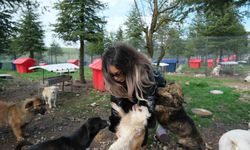 Altıeylül'de can dostlara büyük destek