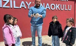 Anaokulunun misafiri 'Fındık' 6 yavru dünyaya getirdi