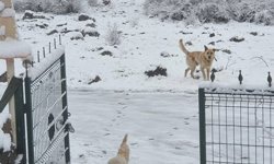 Ankara'ya nisan ayında kar yağdı