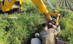 Antakya'da kuyuya düşen büyükbaş hayvan kurtarıldı