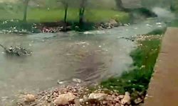 Araban'da Ardıl Çayı yıllar sonra yeniden aktı