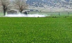 Araban'da sarı pas hastalığını önlemek amaçlı ilaçlı mücadele başlatıldı