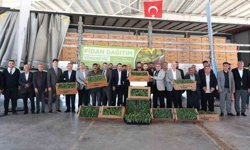 Arabanlı karpuz üreticisi çiftçilere yüzde 50 hibeli fide desteği