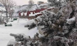 Ardahan'da kar sonrası dondurucu soğuklar etkili oldu