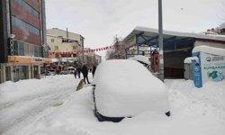 Ardahan'da nisan ayında kar sürprizi