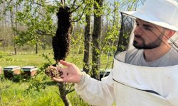 Arıcılara sahada destek