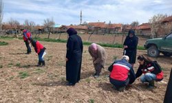 Aslanapa'da çiftçilere yönelik eğitim ve saha çalışmaları gerçekleştirildi