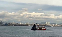 Av mevsiminin son gülerinde istavrit bolluğu