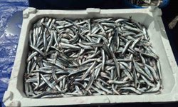 Av yasağı öncesi pazarda yoğunluk