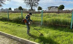 Aydın Büyükşehir'den Germencik ve İncirliova'da yeşil alan çalışması
