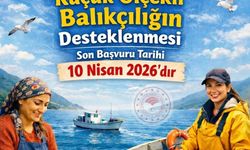 Aydın'da balıkçılık desteği başvuruları için son çağrı