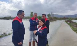 Aydın'da sular altında kalan arazilerde kesin zarar tespiti yapıldı