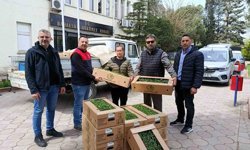 Babaeski'de üreticiye 2 bin kırmızı domates fidesi verildi