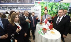 Bafra standına yoğun ilgi