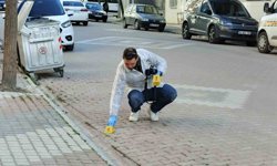 Bafra'da 'kız meselesi' kavgası: 1 yaralı