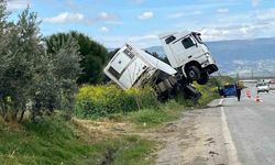 Bağa giren tır şaha kalktı