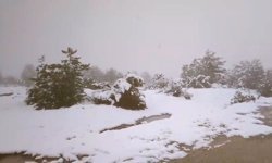 Baharı beklerken kar geldi