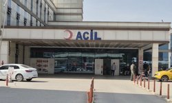 Baharla birlikte gelen kabus