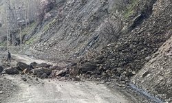 Bahçesaray'da mahalle yolunda heyelan