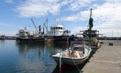 Balıkta bereketli sezon: 'Halk bu yıl balığa doydu'