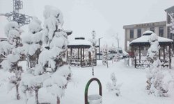 Başkale'de kar yağışı