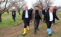 Başkan Er, dolu afetinden zarar gören ilçeleri ziyaret etti