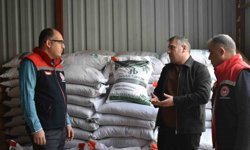 Bayburt'ta üreticilere yüzde 50 hibeli yem bezelyesi tohumu dağıtıldı