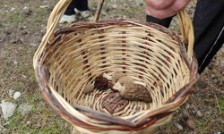 Beyşehir'de doğa tutkunları hem yürüyüş hem de kuzugöbeği için buluştu