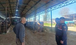 Bilecik'te 120 vatandaşa hayvan hırsızlığı ve dolandırıcılık bilgilendirmesi