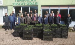 Bilecik'te 8 bin çilek fidesi üreticiyle buluştu