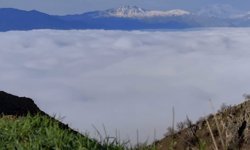 Bir mahalle sis denizinde kayboldu