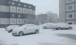 Bitlis nisan ayında yeniden beyaza büründü