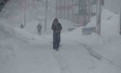 Bitlis'te 111 köy yolu ulaşıma kapandı