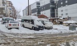 Bitlis'te kar yağışı nedeniyle 82 köy yolu ulaşıma kapandı