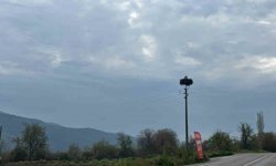 Bozdoğan'da baharın müjdecisi leylekler yuvalarına döndü