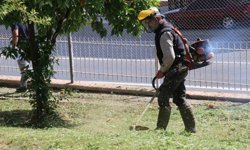 Bozdoğan'da çevre düzenleme çalışmaları sürüyor