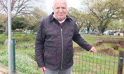 Burhaniye'de Adramytteion Antik Kenti ilgi görüyor