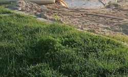 Burhaniye'de denize akan pis sular tepkiye neden oldu