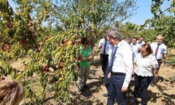 BUÜ, ziraat ve ormancılık alanında dünyada ilk 500'de