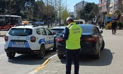 Büyükşehir'den park ihlallerine karşı kapsamlı denetim