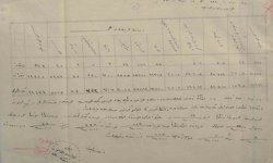 Çanakkale'de 1915 yılına ait sağlık raporu gün yüzüne çıktı