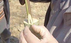 Çanakkale'de 'Aşı Akademisi'